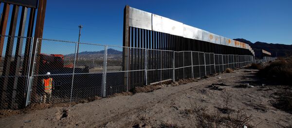 A worker stands next to a newly built section of the U.S.-Mexico border fence at Sunland Park, U.S. opposite the Mexican border city of Ciudad Juarez, Mexico - Sputnik International
