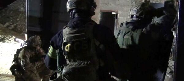 Law enforcement officers during a special operation. (File) Law enforcement officers during a special operation. (File) - Sputnik International