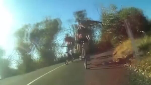 Kangaroo surprises cyclist, jumping out and clipping his helmet - Sputnik International