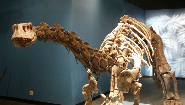 Lufengosaurus magnus from the Beijing Museum of Natural History - Sputnik International