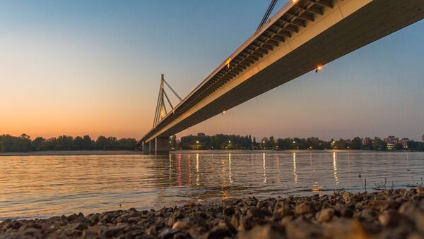Liberty Bridge on the Danube river in Novi Sad - Sputnik International