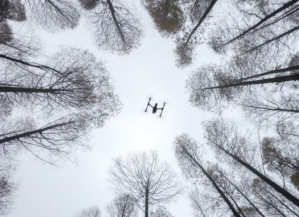 Best Aerial Shots of SkyPixel Photo Contest 2016 - Sputnik International
