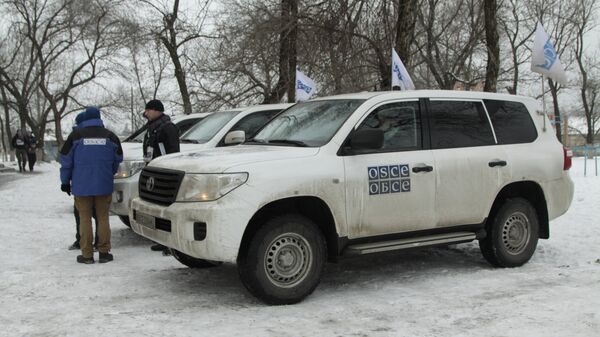 Deputy head of OSCE Mission to Ukraine Alexander Hug - Sputnik International