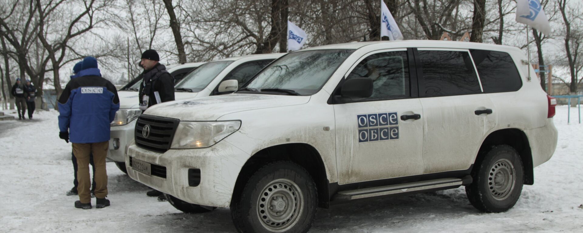 Deputy head of OSCE Mission to Ukraine Alexander Hug   - Sputnik International, 1920, 13.02.2022