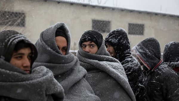 Migrants wait in line to receive free food during a snowfall outside a derelict customs warehouse in Belgrade, Serbia January 9, 2017. - Sputnik International