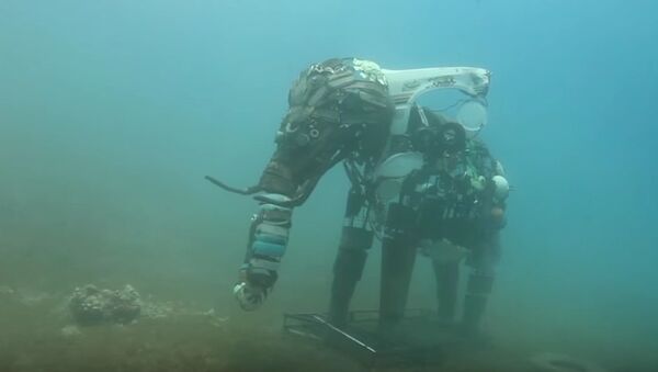 Egypt's Underwater Sculptures Becoming Living Coral Reef - Sputnik International