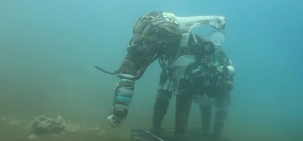 Egypt's Underwater Sculptures Becoming Living Coral Reef Egypt's Underwater Sculptures Becoming Living Coral Reef - Sputnik International