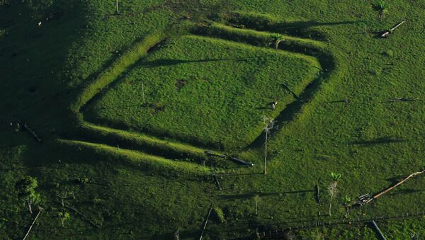Geometric glyphs discovered in the Amazon. This one depicts a diamond. - Sputnik International