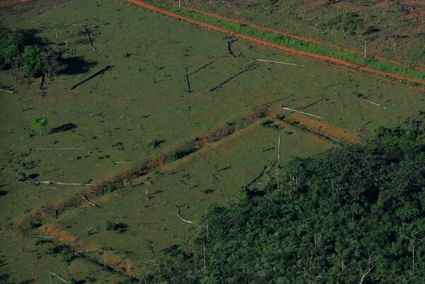 Geometric glyphs discovered in the Amazon. The deforestation only revealed about half of this glyph. - Sputnik International
