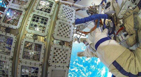 The many different organisms from all participating partners were all mounted in such trays and then exposed to space on the outside of the ISS for one and a half years. - Sputnik International