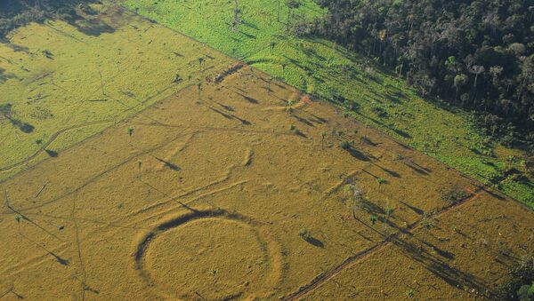 450 'henge' earthworks resembling Stonehenge found in Amazon rainforest using drones. - Sputnik International