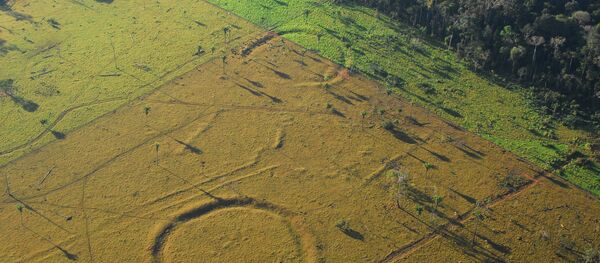 450 'henge' earthworks resembling Stonehenge found in Amazon rainforest using drones. - Sputnik International