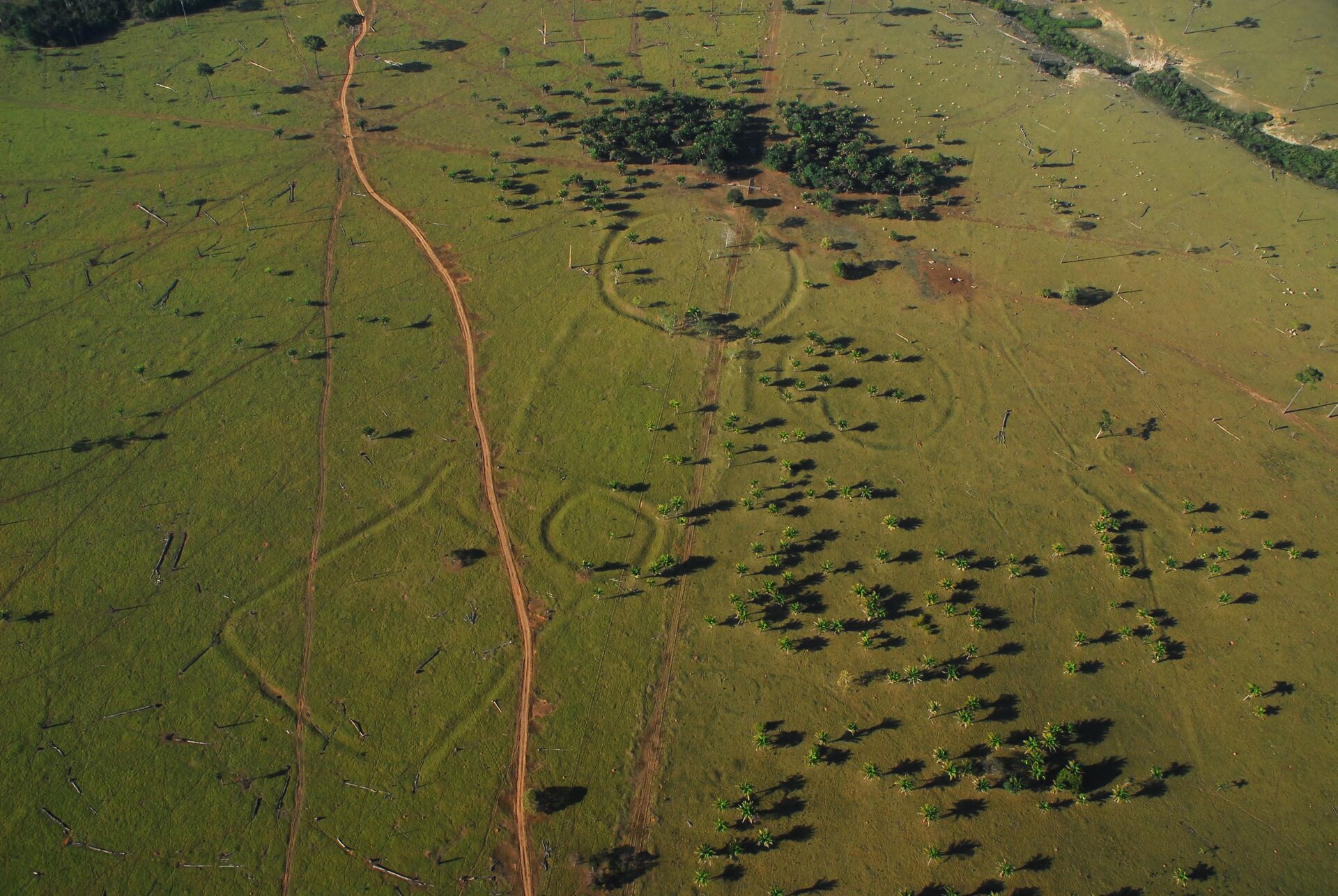 450 'henge' earthworks resembling Stonehenge found in Amazon rainforest using drones. - Sputnik International, 1920, 26.05.2022