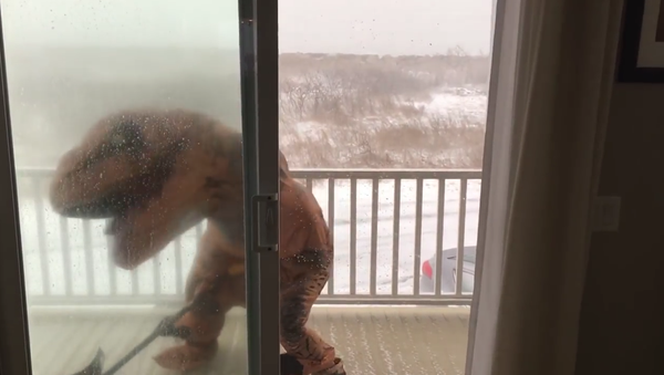 T-rex tries to go shovel snow in a blizzard - Sputnik International