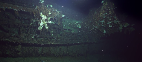 Tauchgang zum U-Boot U 581 - Sputnik International