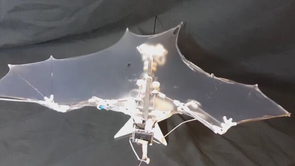 Bat Bot flying robot - Sputnik International