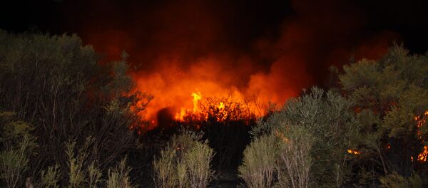 A bushfire in Australia A bushfire in Australia - Sputnik International