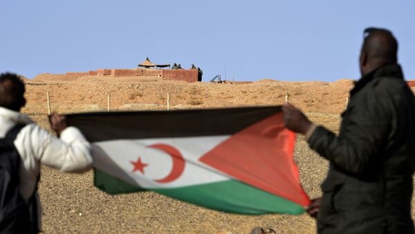 Saharawi men hold up a Polisario Front flag in the Al-Mahbes area near Moroccan soldiers guarding the wall separating the Polisario controlled Western Sahara from Morocco on February 3, 2017 - Sputnik International