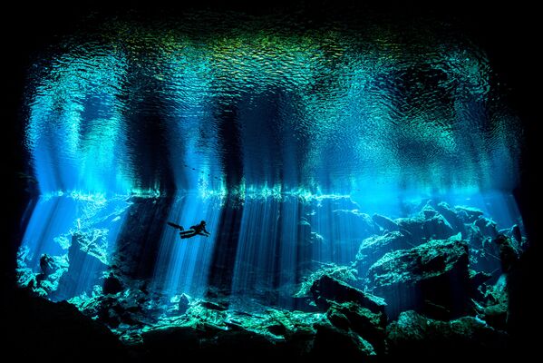 Underwater Photographer of the Year Winners Show Aquatic Beauty Across the Globe - Sputnik International