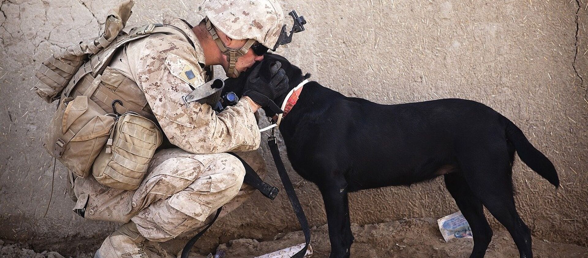 A soldier kissing a dog - Sputnik International, 1920, 31.08.2021