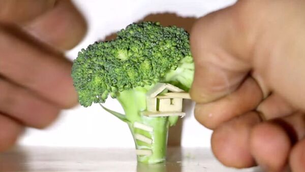 Miniature Tree House ... Hani Broccoli Tree is Not !? - Sputnik International