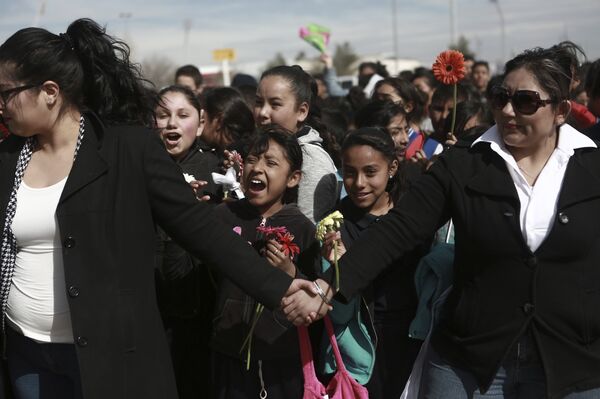 Scholar Explains Two Reasons Behind 'Militarization' of US Border With Mexico Scholar Explains Two Reasons Behind 'Militarization' of US Border With Mexico - Sputnik International