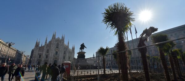 People walk past newly planted palm trees in an area near Italy's landmark, the Milan Cathedral, at the Piazza del Duomo in Milan on February 16, 2017 - Sputnik International