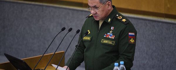 Russian Defense Minister Sergei Shoigu speaks at the lower parliament house's plenary meeting Russian Defense Minister Sergei Shoigu speaks at the lower parliament house's plenary meeting - Sputnik International