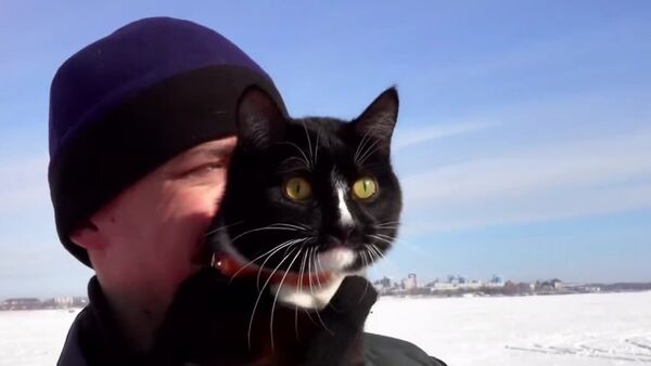 Meet Graf The Traveling Cat - Sputnik International