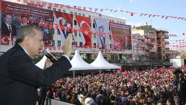 Turkey's President Recep Tayyip Erdogan addresses his supporters in Manisa, Turkey, Friday, Feb. 24, 2017. - Sputnik International