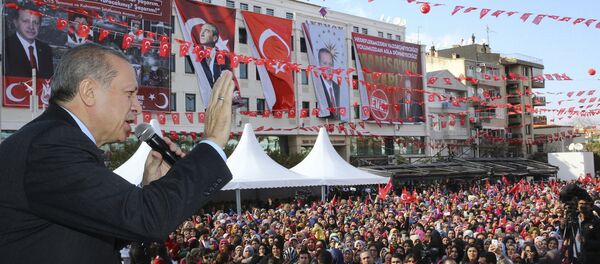 Turkey's President Recep Tayyip Erdogan addresses his supporters in Manisa, Turkey, Friday, Feb. 24, 2017. Turkey's President Recep Tayyip Erdogan addresses his supporters in Manisa, Turkey, Friday, Feb. 24, 2017. - Sputnik International