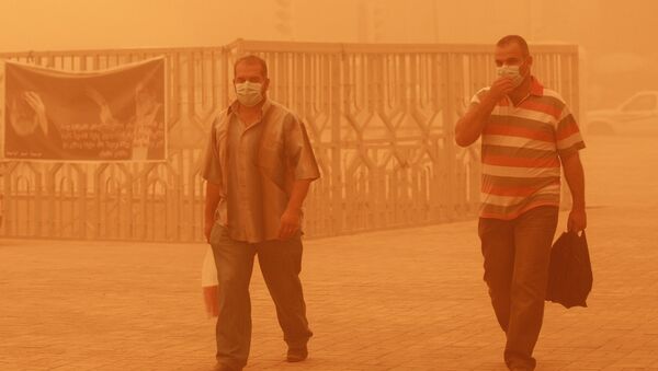Men wear dust masks during a heavy sandstorm. Iran (File) - Sputnik International