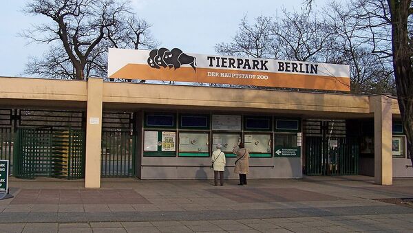 Main entry of Tierpark Berlin - Sputnik International