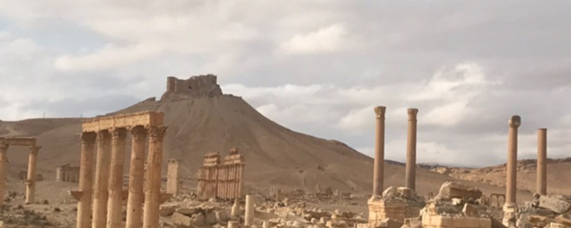 Palmyra recaptured by Syrian Arab Army backed by Russian Air Force - Sputnik International, 1920, 06.03.2022