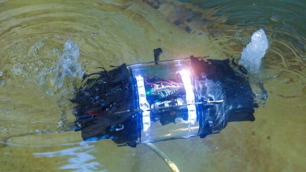 Nuclear Decomissioning Underwater Robot Nuclear Decomissioning Underwater Robot - Sputnik International