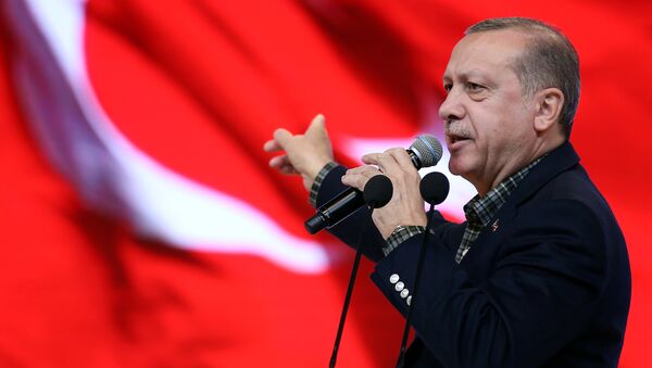 Turkish President Erdogan makes a speech during a meeting in Istanbul - Sputnik International