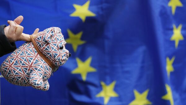 A Pro-EU membership supporter hold a stuffed toy dog covered in union flags, outside the High Court, on the second day of the lawsuit of Gina Miller, a founder of investment management group SCM Private in London, Monday, Oct. 17, 2016. - Sputnik International