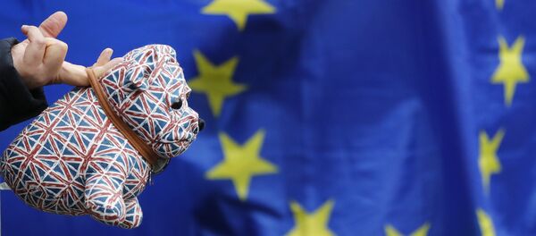 A Pro-EU membership supporter hold a stuffed toy dog covered in union flags, outside the High Court, on the second day of the lawsuit of Gina Miller, a founder of investment management group SCM Private in London, Monday, Oct. 17, 2016. - Sputnik International