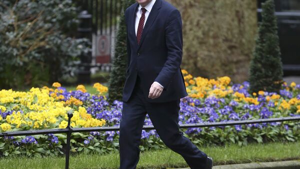 Britain's Secretary of State for departing the European Union David Davis arrives at 10 Downing Street for a cabinet meeting ahead of the budget in London, March 8, 2017. - Sputnik International