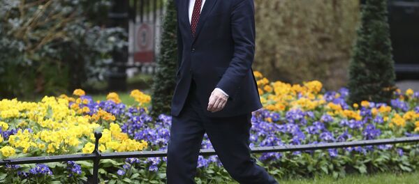 Britain's Secretary of State for departing the European Union David Davis arrives at 10 Downing Street for a cabinet meeting ahead of the budget in London, March 8, 2017. Britain's Secretary of State for departing the European Union David Davis arrives at 10 Downing Street for a cabinet meeting ahead of the budget in London, March 8, 2017. - Sputnik International