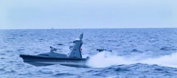 Protector at sea Protector at sea - Sputnik International