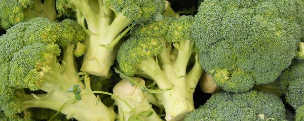 Broccoli - Sputnik International