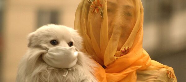 A woman with a voile over her head puts on a face mask to her little dog. China (File) A woman with a voile over her head puts on a face mask to her little dog. China (File) - Sputnik International