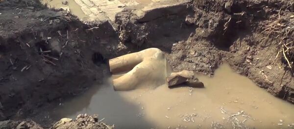 Ramesses II Statue Discovered In Cairo - Sputnik International