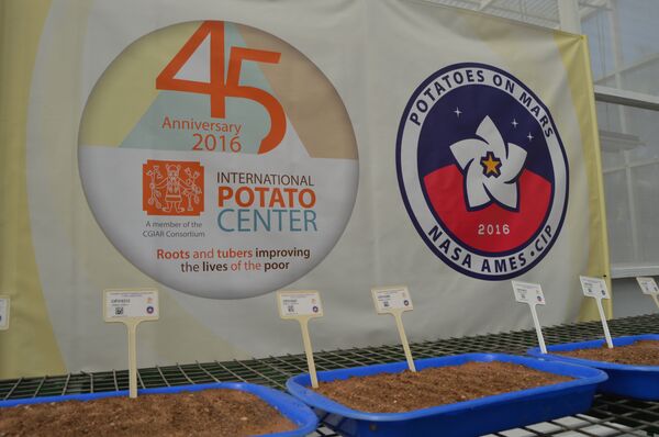 In 2016, CIP brought about 300 kilograms of Martian soil simulant from the Pampas de La Joya desert in Southern Peru In 2016, CIP brought about 300 kilograms of Martian soil simulant from the Pampas de La Joya desert in Southern Peru - Sputnik International