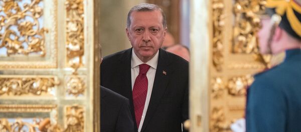 March 10, 2017. Turkish President Recep Tayyip Erdogan prior to the sixth meeting of the Russia-Turkey High-Level Cooperation Council. March 10, 2017. Turkish President Recep Tayyip Erdogan prior to the sixth meeting of the Russia-Turkey High-Level Cooperation Council. - Sputnik International