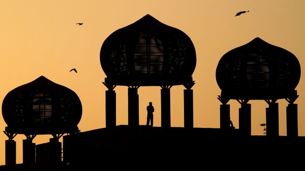 A Pakistani observes the view from a dome-shaped terrace at a park in Islamabad, Pakistan - Sputnik International