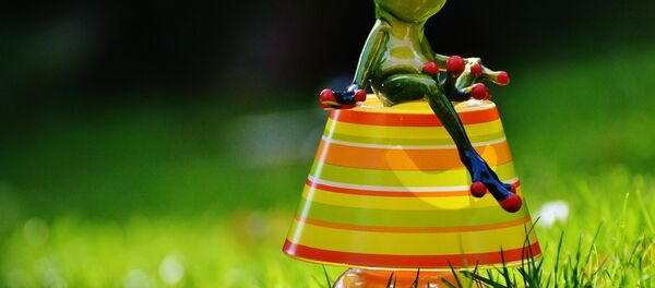 Frog - Sputnik International