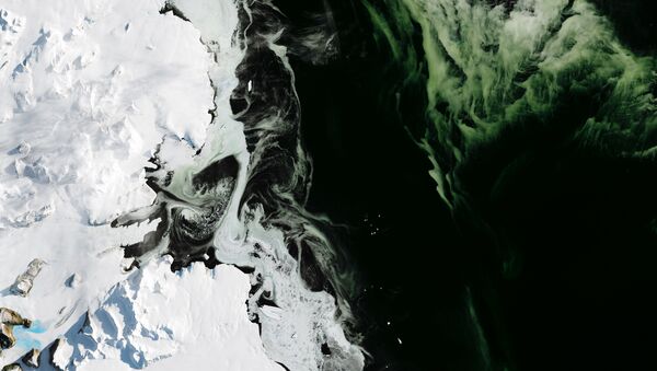 Antarctica's Granite Harbor, turned green by phytoplankton. The photos were taken by NASA's Operational Land Imager (OLI). - Sputnik International