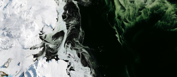 Antarctica's Granite Harbor, turned green by phytoplankton. The photos were taken by NASA's Operational Land Imager (OLI). - Sputnik International